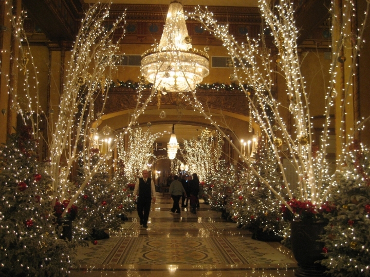 Natale 2017 Palazzo Zacco Padova Canzoni sotto l'albero Foto